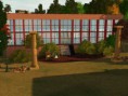 /album/fotogaleria-el-campus/screenshot-115-jpg/